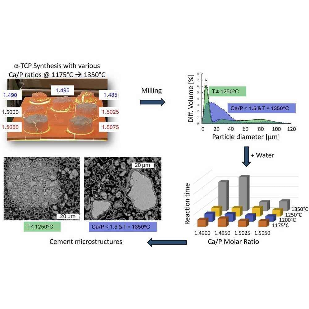 2024 Reactivity of aTCP Bohner_1000x1000