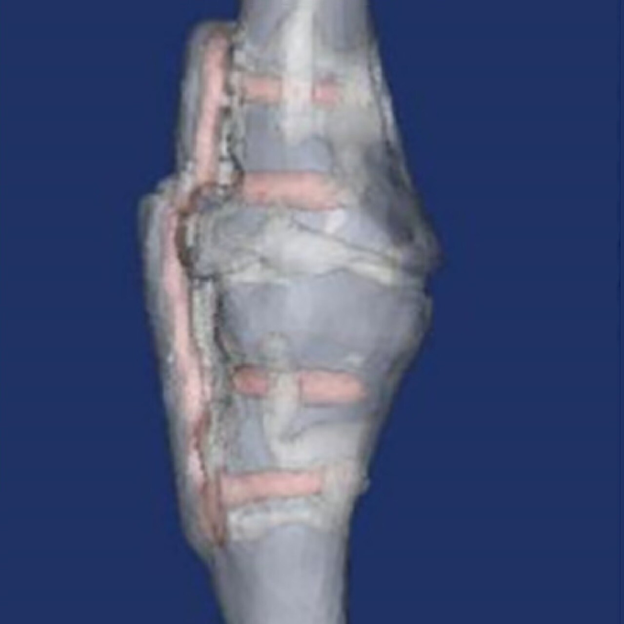 Publ Pre-clinical testing of human